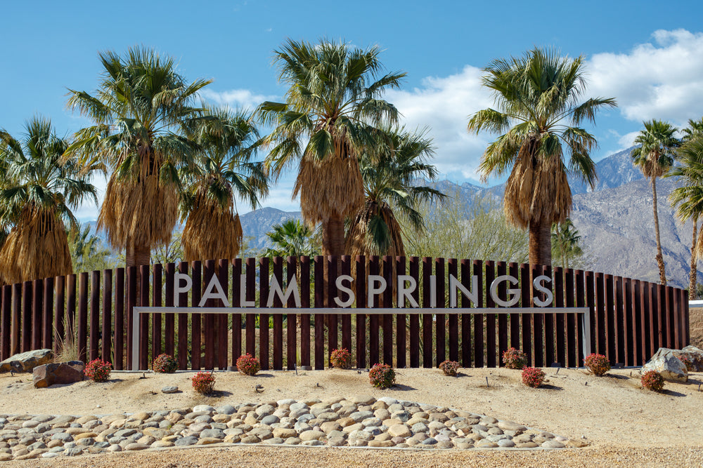ROBERT & MARY CAREY SPOTLIGHT: PALM SPRINGS, CA