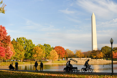 DESTINATION GUIDE: Washington, DC