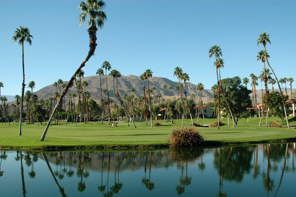 Things To Do in Palm Springs - Vacation Guide - Travelpro