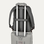 Business Class - Platinum® Elite Carry-On / Medium Check-In / Backpack / Packing Cubes Set